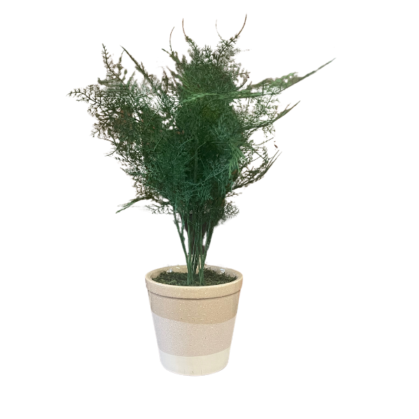 Fern Artificial Plant