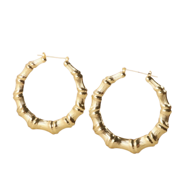 Circle Hoop Earrings