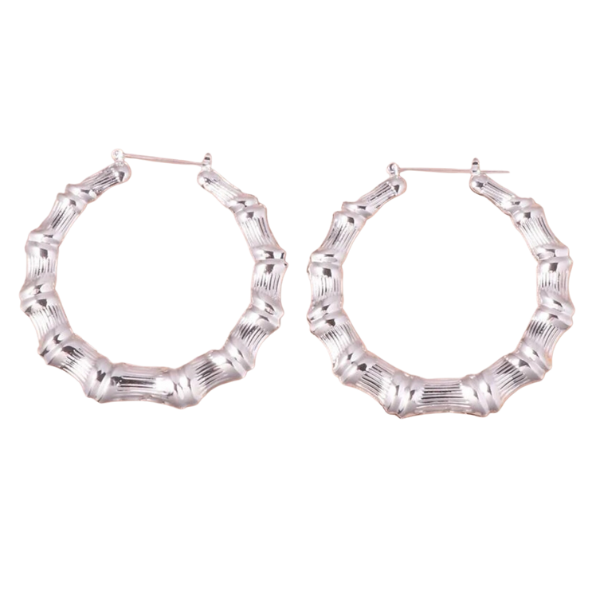 Circle Hoop Earrings
