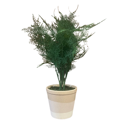 Fern Artificial Plant